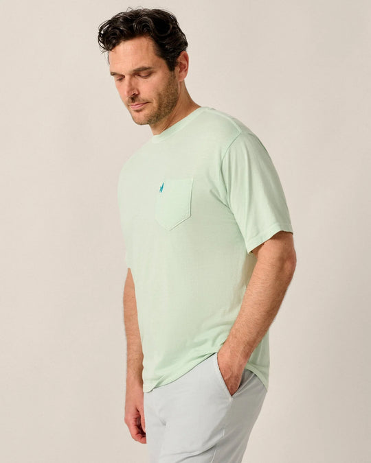 Dale Cotton Blend T-Shirt In Pistachio