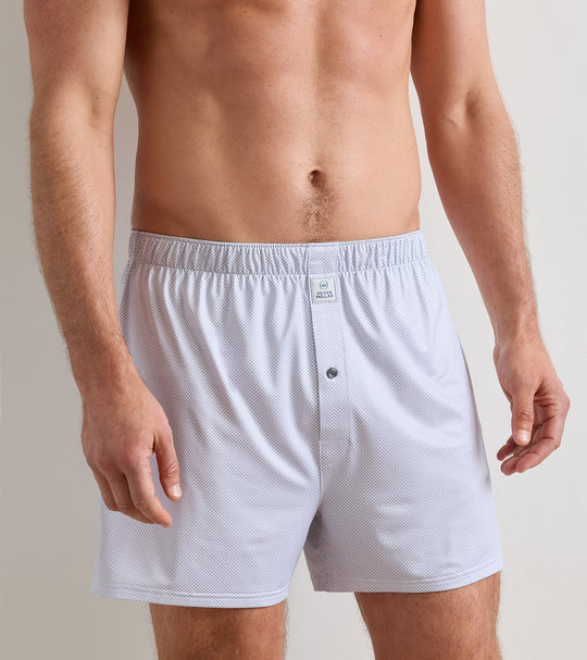 Phoenix Performance Boxer Short In White/Gale Grey