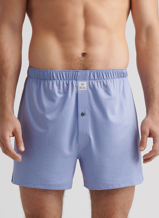 Peter Millar Phoenix Performance Boxer Short In Cottage Blue