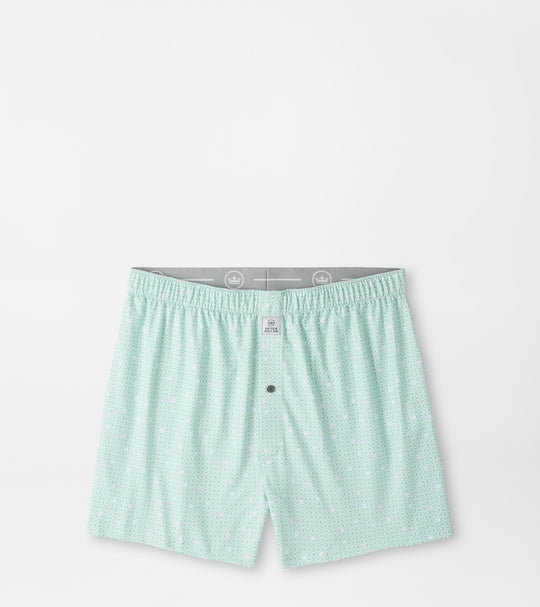 Skull It Performance Boxer Short In White